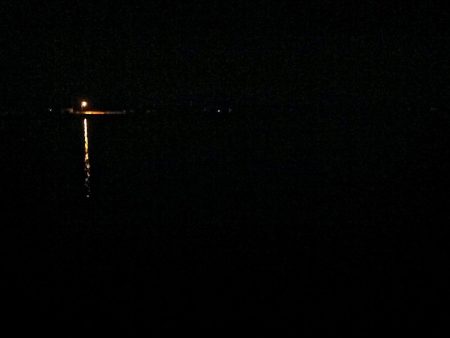 オキソメバルがパタパタと